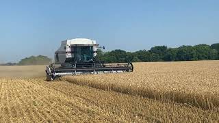 Gleaner R62 combining wheat in 2023 [upl. by Atsok]