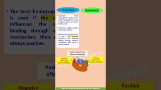 Homotropic and Heterotropic Effectors  Allosteric Enzymes  Allosteric effectors shorts enzyme [upl. by Niwroc]