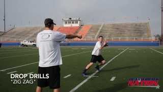 Quarterback Drills  Drop Drills [upl. by Kylila50]