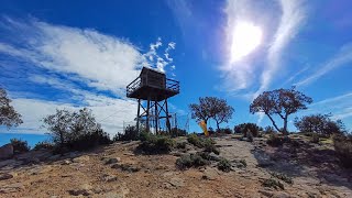 Quermany Gros 100 cims FEEC Mines den Bernat i Olivera milenaria de Can Pou de Ses Garites [upl. by Coulson]