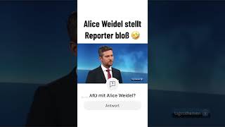 Weidel vs Tagesschaumoderator [upl. by Adlaremse332]