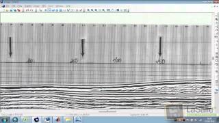 Vectoriser un raster au format SEGY  tutoenvrac10 [upl. by Tadd]