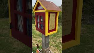 Little Free Library Scavenger Hunt [upl. by Rahmann]