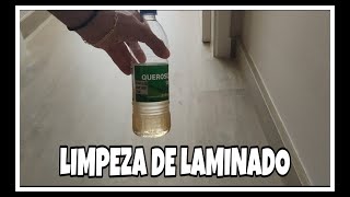 LIMPEZA DE LAMINADO DE FORMA PRÁTICA [upl. by Nylynnej]