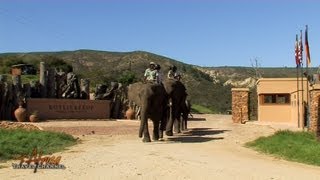 Botlierskop Private Game Reserve Mossel Bay Garden Route South Africa  Africa Travel Channel [upl. by Edroi]