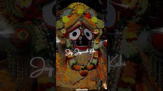 Lakhe salagrama bincha bedi ku chadi 🙏jagannath jagannath status [upl. by Feodora]