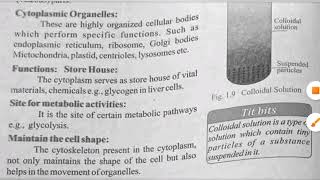 1st year BiologyZoology  ch1part15  Cytoplasm and Organelles  Balochistan Board [upl. by Eissac]