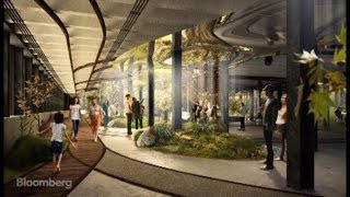 Meet the Low Line A New Park Grows Underground [upl. by Schaumberger]