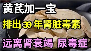 肾不好、泡泡尿、水肿？黄芪加一宝，排出30年肾脏毒素，给毒肾洗个澡，肾干净了，一生远离肾病！【本草养生大智慧】 [upl. by Varini705]