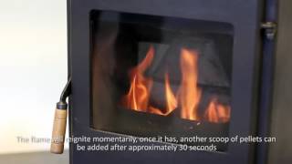 Chameleon Wood Pellet Stove [upl. by Aloel]