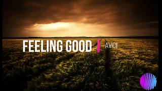 Avicii  Feeling Good Lyrics  Subtitulada Ingles y Español [upl. by Anaigroeg]