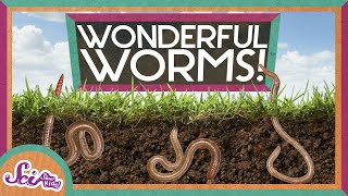 Worms Are Wonderful  Amazing Animals  Backyard Science  SciShow Kids [upl. by Dreddy]