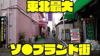 【東北最大】小名浜ソ●プランド全15店舗を徹底解説 [upl. by Clere209]