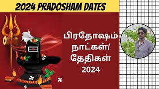 2024 பிரதோஷம் நாட்கள்  Pradosham Dates 2024  Pradosh Vrat 2024 Dates  Digital Naveen [upl. by Lledra]