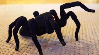 RC ADVENTURES  Robotic Spider  Creepy Movement [upl. by Ck]