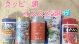 グッピー餌 熱帯魚 オススメ5選 1 ✨ フレーク状や粒状、アカムシ等比較してみました！初心者🔰の方も見ていただけると参考になると思います！ [upl. by Collie586]