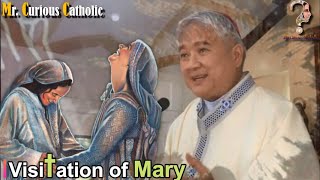 3 Important Reasons in the Visitation of MARY to Elizabeth [upl. by Trixi]