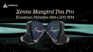 💫Live en français  Xenns Mangird Tea Pro🎧 Écouteurs Hybrides 6BA2DD IEM🔥 [upl. by Eirod]