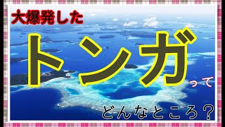 ２分でわかる【トンガ王国】ってどんなところ？ [upl. by Drazze]