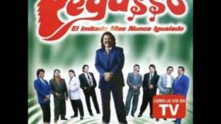 Grupo Pegasso mix Dj Gato [upl. by Cavallaro627]