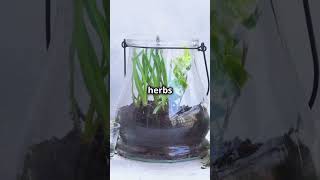 Creative Planting Ideas Easy DIY Garden Hacks for Any Space 🌿💡 gardeningtips plantingideas [upl. by Luise]