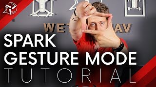 DJI SPARK Gesture Mode Tutorial [upl. by Corron]