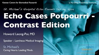 Echo Cases Potpourri  Contrast Edition [upl. by Zennas]