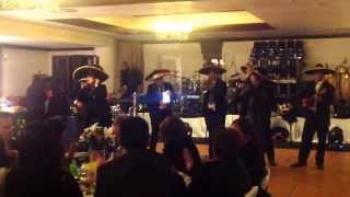 Grupo Excelaris Music Show  Mariachi [upl. by Odrareve]