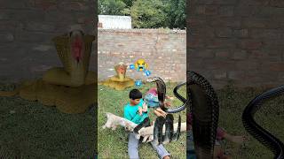 😭 সাপে ছোবল মারলো তাঁর পর একি হলো😰 🪱 🕊️ snake attack help birds viralvideo shorts [upl. by Cahan]