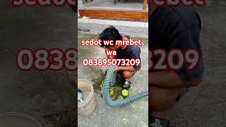 sedot wc mrebet wa083895073209 [upl. by Katusha]