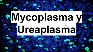 Mycoplasma y ureaplasma  Microbiología Médica [upl. by Akinert]