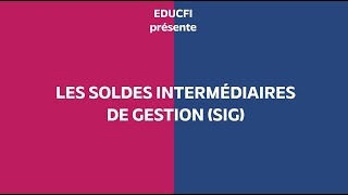 Les Soldes Intermédiaires de Gestion SIG expliqués en trois minutes – Simple comme compta [upl. by Alsworth75]