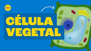 CÉLULA VEGETAL Estrutura e Funções [upl. by Ahern]