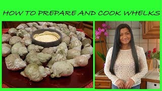 How to Prepare and Cook Whelks  Sea Snails  How to Clean and Cook Sea Snails  Cooking Sea Snails [upl. by Warren]