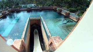 POV Leap of Faith waterslide at Atlantis Bahamas [upl. by Russian]