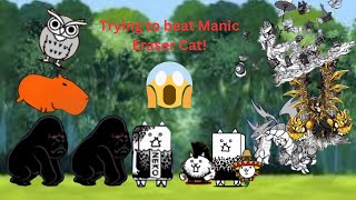 I tried to beat Vulcanizer Battle Cats Pt 12 [upl. by Elma]