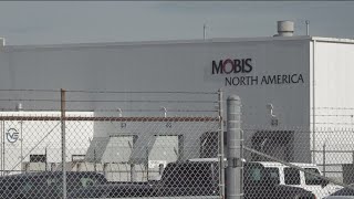 I just felt my heart drop Mobis employee reacts to layoffs [upl. by Francklyn]