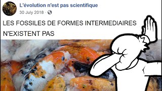 Lévolution nest pas scientifique  Débunkage et Pénitence 9 [upl. by Airamasor]