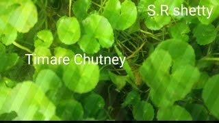 Timare Chutney Brahmi yele chutney [upl. by Joelie]