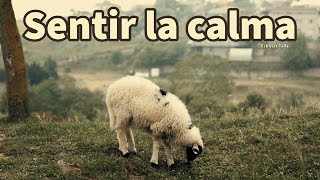 SENTIR LA CALMA  Eckhart Tolle [upl. by Meekar]