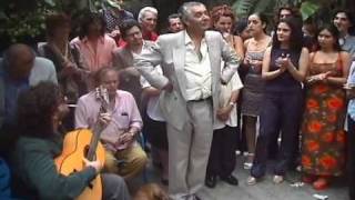 Flamenco A Personal Journey part 9 of 10 [upl. by Aneelad]