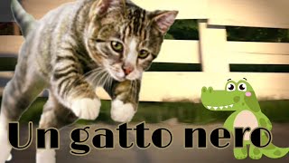 Volevo gatto nero in russo Imparare russo Canzoni per bambini 2019 [upl. by Rolecnahc]