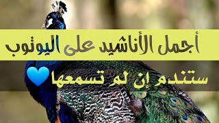 أجمل باقة أناشيد على اليوتوب💐مختارة بكل عناية وبصوت رائع لن تمل سماعها🎧💕HD anachid diniya 2021 [upl. by Hope632]