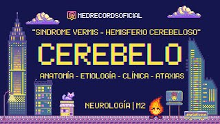 CEREBELO  Ataxia Síndrome Vermis Cerebeloso  NEUROLOGÍA  Repaso anatomía Etiología Clínica [upl. by Ydnarb]