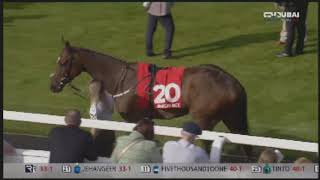 2024 UK AYR Gold Cup [upl. by Hands]