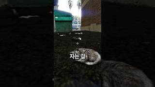 의외로 사람들이 모르는 GTA 해보고싶은 5가지 사실 [upl. by Melodie615]