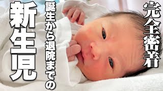 【新生児】生後2分から病院を退院するまでの赤ちゃんの生活と顔の変化 [upl. by Drexler]