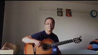 James v2 Fingerstyle Guitar [upl. by Suk647]