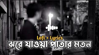 Jore Jawa Patar E moton  Hariye  ঝরে যাওয়া পাতার মতন  Jisan Khan shuvo  Lyrics amp Lofi [upl. by Belayneh]