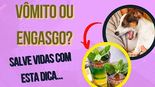 CACHORRO ENGASGADO E COM TOSSE E VÔMITO COM ESPUMA BRANCA O QUE FAZER EM CASA E COMO RESOLVER [upl. by Housum887]